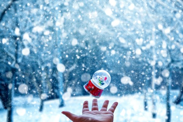 Diy Snow Globes