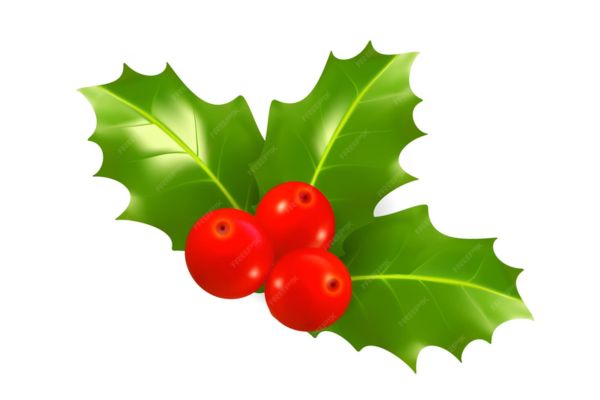 Holly And Berries 1