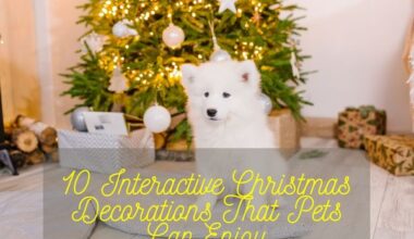 Interactive Christmas Decorations That Pets Can Enjoy