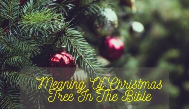 Meaning Of Christmas Tree In The Bible