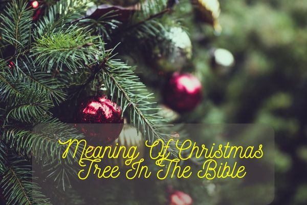 Wonderful Meaning Of Christmas Tree In The Bible