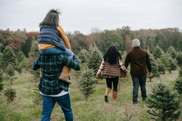 Nature Walk