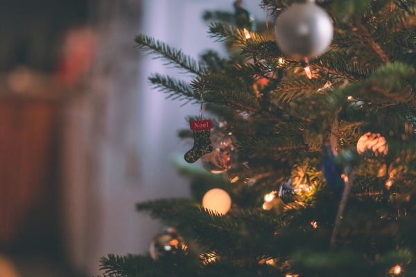 Tinier Christmas Tree