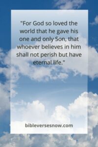 John 3:16 (Niv)