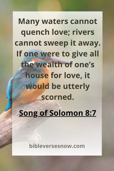 Song Of Solomon 8:7